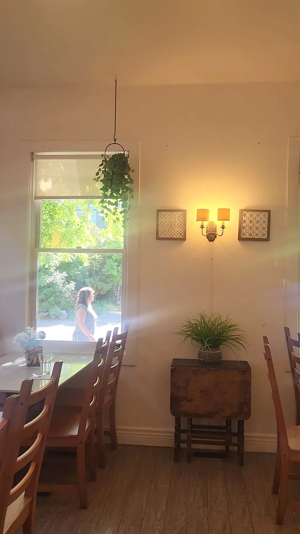 Dining room at Sno Thai Cafe Madison with wooden chairs, a hanging plant and afternoon light through the window